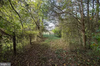 Off Dry Run Road, Luray, VA 22835 - Photo 73