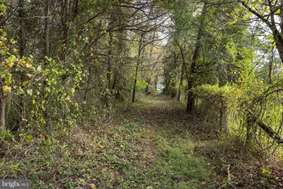 Off Dry Run Road, Luray, VA 22835 - Photo 71
