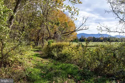 Off Dry Run Road, Luray, VA 22835 - Photo 69
