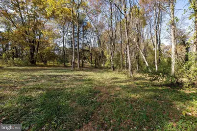Off Dry Run Road, Luray, VA 22835 - Photo 47