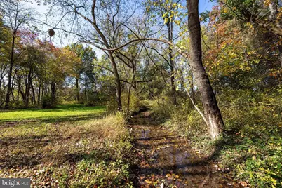 Off Dry Run Road, Luray, VA 22835 - Photo 53