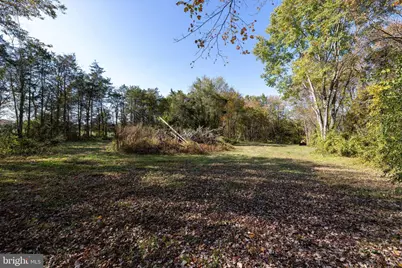 Off Dry Run Road, Luray, VA 22835 - Photo 51