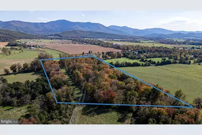 Off Dry Run Road, Luray, VA 22835 - Photo 5
