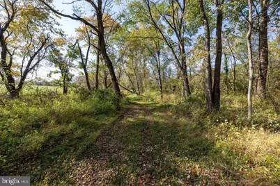 Off Dry Run Road, Luray, VA 22835 - Photo 65