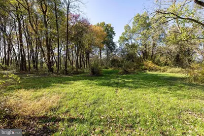 Off Dry Run Road, Luray, VA 22835 - Photo 59
