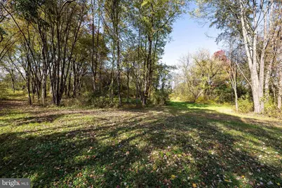 Off Dry Run Road, Luray, VA 22835 - Photo 63