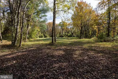 Off Dry Run Road, Luray, VA 22835 - Photo 49