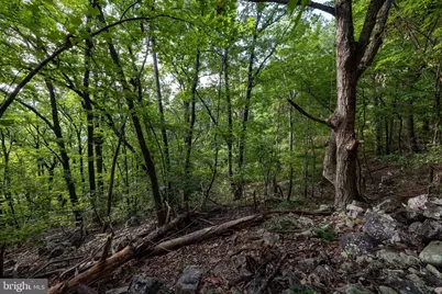 Lot B54 Roundhead Mountain, Stanley, VA 22851 - Photo 17