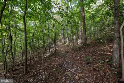 Lot B54 Roundhead Mountain, Stanley, VA 22851 - Photo 15