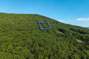Lot B54 Roundhead Mountain, Stanley, VA 22851 - Photo 1