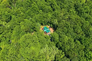 2250 Jewell Hollow Rd, Luray, VA 22835 - Photo 45