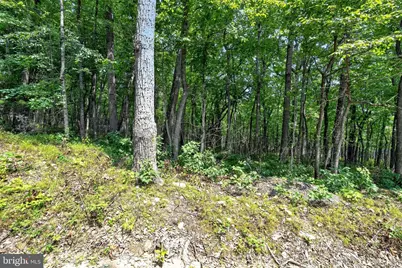 Indian Trail Road, Luray, VA 22835 - Photo 23