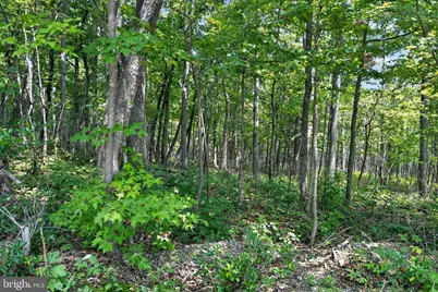 Indian Trail Road, Luray, VA 22835 - Photo 9