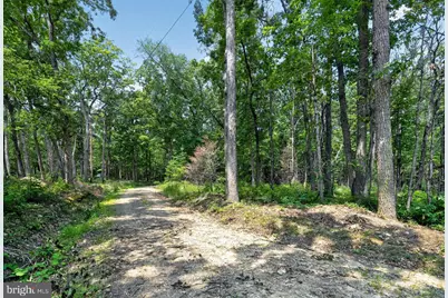 Indian Trail Road, Luray, VA 22835 - Photo 21