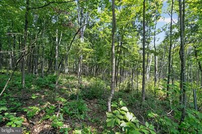 Indian Trail Road, Luray, VA 22835 - Photo 19