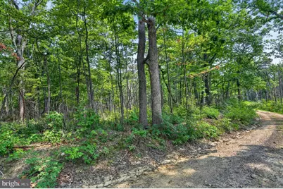 Indian Trail Road, Luray, VA 22835 - Photo 3