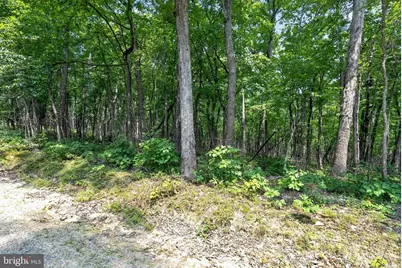 Indian Trail Road, Luray, VA 22835 - Photo 17