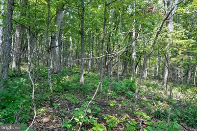 Indian Trail Road, Luray, VA 22835 - Photo 15