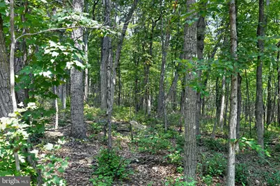 Indian Trail Road, Luray, VA 22835 - Photo 7
