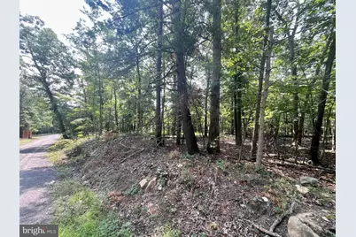 Cross Creek, Luray, VA 22835 - Photo 3