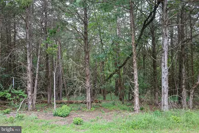 Lot 10 and Lot 11 River View Dr, Luray, VA 22835 - Photo 21