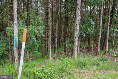 Lot 10 and Lot 11 River View Dr, Luray, VA 22835 - Photo 19