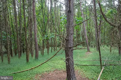 Lot 10 and Lot 11 River View Dr, Luray, VA 22835 - Photo 13