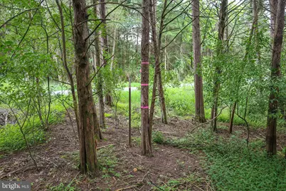 Lot 10 and Lot 11 River View Dr, Luray, VA 22835 - Photo 17