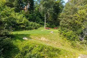 99 Fish Trap Path and 55 Crest Path, Luray, VA 22835 - Photo 71