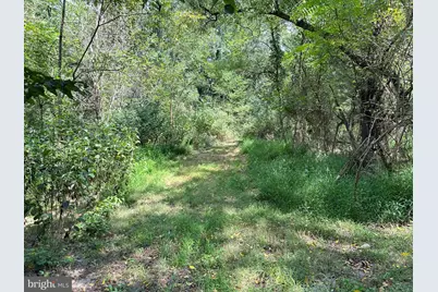 Campbell Hill Road, Stanley, VA 22851 - Photo 5