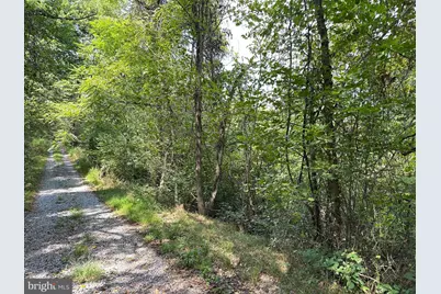 Campbell Hill Road, Stanley, VA 22851 - Photo 3