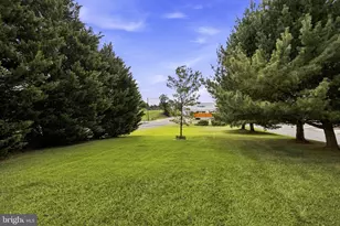 150 Collins Ave, Luray, VA 22835 - Photo 53