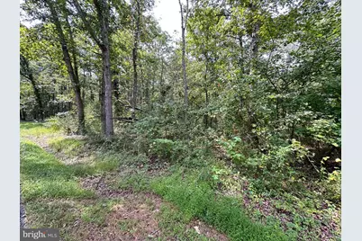0 Egypt Bend Road, Luray, VA 22835 - Photo 9