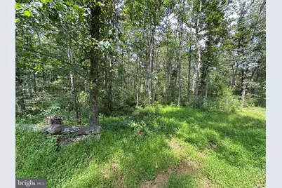 0 Egypt Bend Road, Luray, VA 22835 - Photo 5