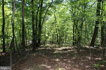 0 Lookout Drive, Shenandoah, VA 22849 - Photo 15