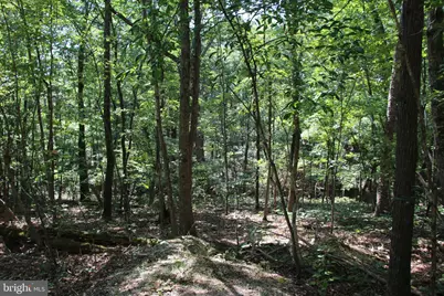 0 Lookout Drive, Shenandoah, VA 22849 - Photo 21