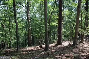 0 Lookout Dr, Shenandoah, VA 22849 - Photo 1
