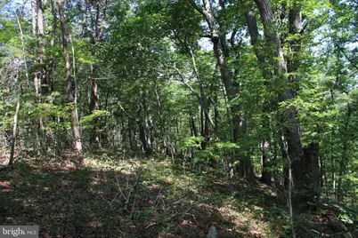 0 Lookout Drive, Shenandoah, VA 22849 - Photo 9