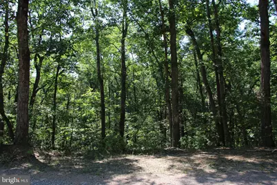 0 Lookout Drive, Shenandoah, VA 22849 - Photo 3