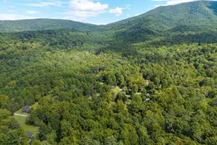 1280 Jewell Hollow Rd, Luray, VA 22835 - Photo 89