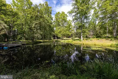 1280 Jewell Hollow Road, Luray, VA 22835 - Photo 59