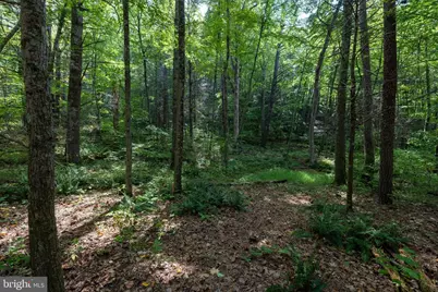 1280 Jewell Hollow Road, Luray, VA 22835 - Photo 65