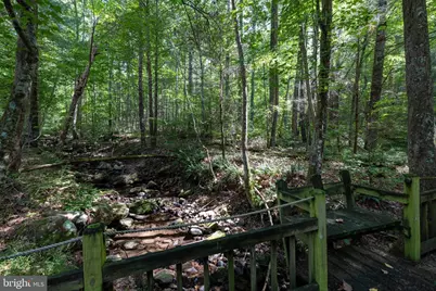 1280 Jewell Hollow Road, Luray, VA 22835 - Photo 63