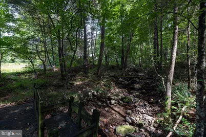 1280 Jewell Hollow Road, Luray, VA 22835 - Photo 67