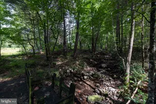 1280 Jewell Hollow Rd, Luray, VA 22835 - Photo 67