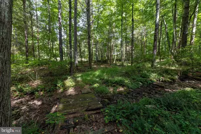 1280 Jewell Hollow Road, Luray, VA 22835 - Photo 71
