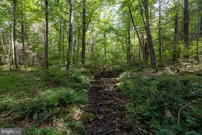 1280 Jewell Hollow Road, Luray, VA 22835 - Photo 69