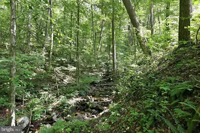 Jewell Hollow Road, Luray, VA 22835 - Photo 63