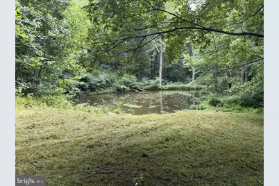 Jewell Hollow Road, Luray, VA 22835 - Photo 55