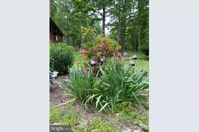 1401 Yagers Road, Luray, VA 22835 - Photo 7